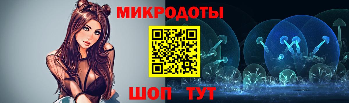 Махачкала  Псилоцибиновые грибы Psilocybe  что такое   Вход с VPN 